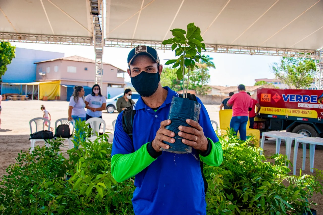 LEM: Continua durante toda esta terça-feira (21), a entrega de mudas nativas do Cerrado