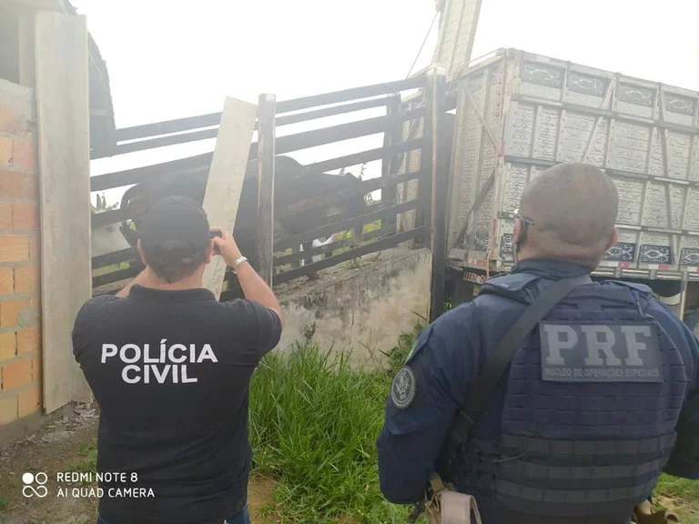 PRF E PC CUMPREM MANDADOS DE PRISÃO, BUSCA, APREENSÃO E DESARTICULAM QUADRILHA QUE FURTAVA GADO EM BARREIRAS, IBOTIRAMA E MAIS SETE MUNICÍPIOS