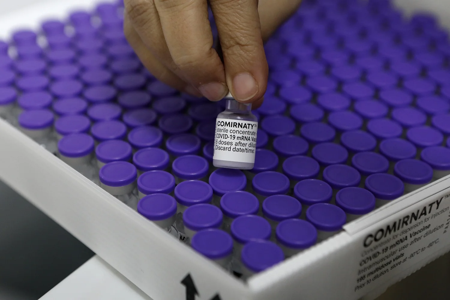 Nesta segunda (6), mais 1,5 milhão de doses de Pfizer chegaram ao Brasil para reforçar a campanha de vacinação