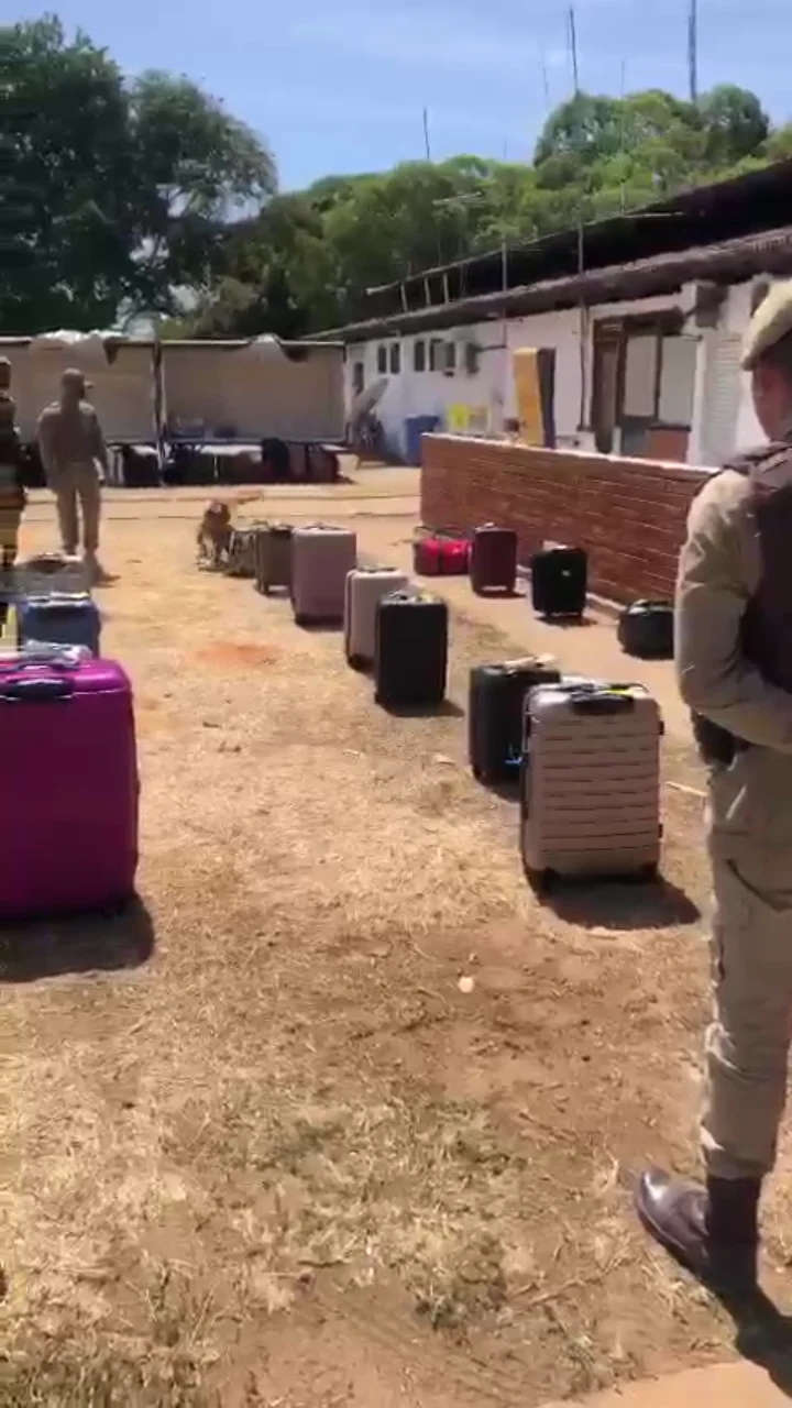 AÇÃO POLICIAL EM COMBATE AO TRÁFICO DE DROGAS NO AEROPORTO DE BARREIRAS-BA