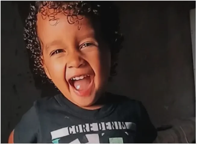 Criança de três anos morre após ser atacada por cão da raça pitbull no sudoeste da Bahia