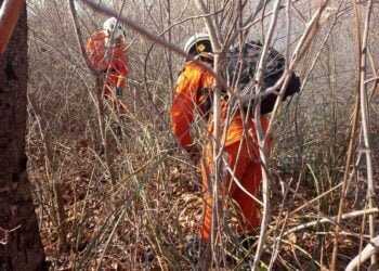 Operação de prevenção e combate aos incêndios florestais ganha reforço de novos bombeiros militares