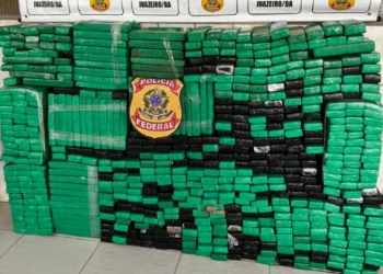 Homem é preso após ser encontrado com 600 kg de drogas no norte da Bahia