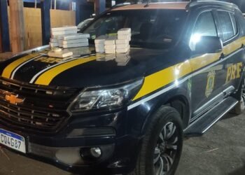 PRF apreende maconha e cocaína na BR 116 e prende caminhoneiro por tráfico de drogas
