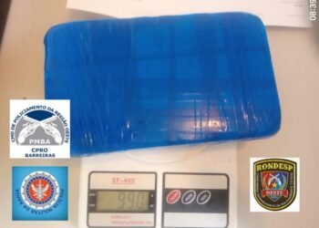 Mulher transportava drogas em ônibus interestadual