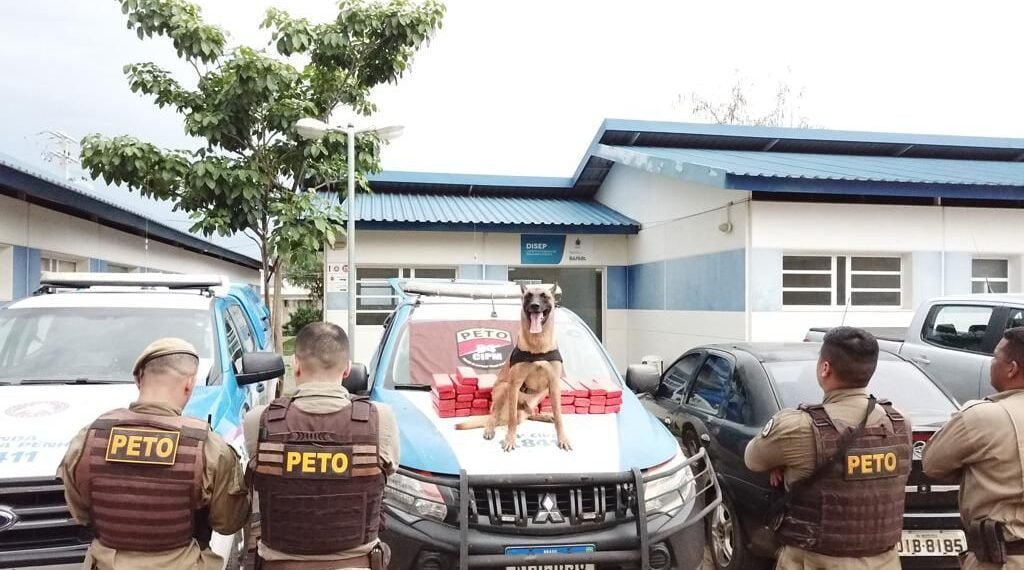 Barreiras: K9-DICK ajuda policiais militares a localizar maconha enterrada