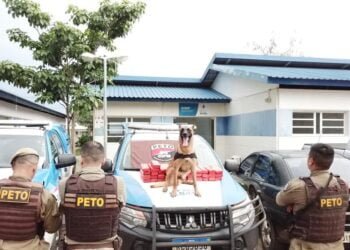 Barreiras: K9-DICK ajuda policiais militares a localizar maconha enterrada