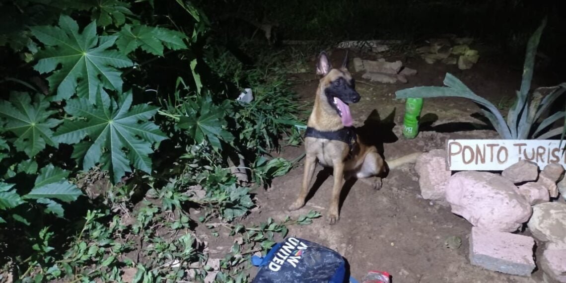 83ª CIPM localiza Mochila de Drogas em área de Mata às Margens da Ponte Ciro Pedrosa