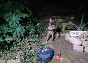 83ª CIPM localiza Mochila de Drogas em área de Mata às Margens da Ponte Ciro Pedrosa