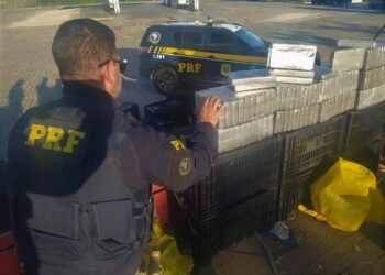 Prejuízo ao narcotráfico: PRF realiza duas apreensões de cocaína durante a Operação Proclamação da República