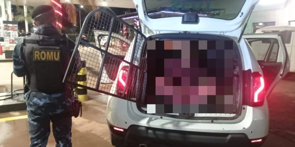 Indivíduo é preso pela GCM-LEM após descumprir medida protetiva, ameaçar e agredir ex-companheira de convívio