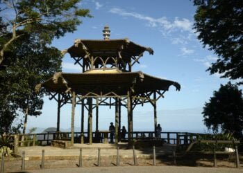 Geral ONU premia iniciativa de restauração da Mata Atlântica