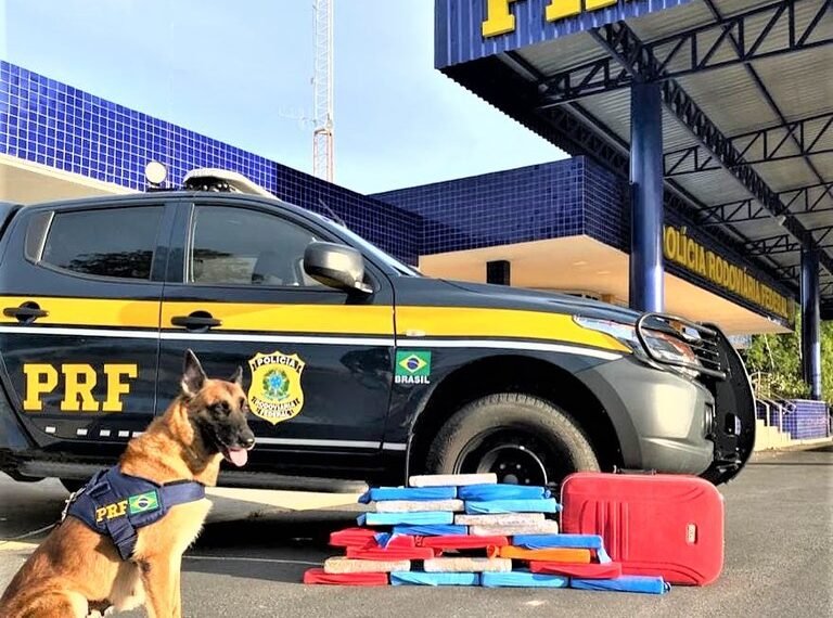 PRF na Bahia registra aumento de quase 150% nas apreensões de cocaína em 2022