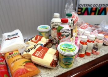 Governo do Estado discute estratégias para garantir compra de alimentos da agricultura familiar para a merenda da rede estadual