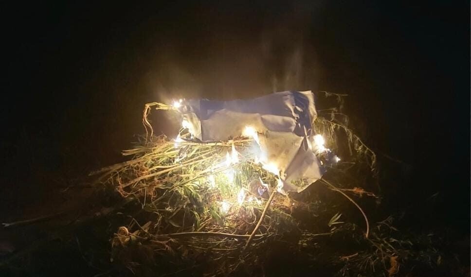 Rondesp Chapada apreende 12kg de maconha em Barra do Mendes