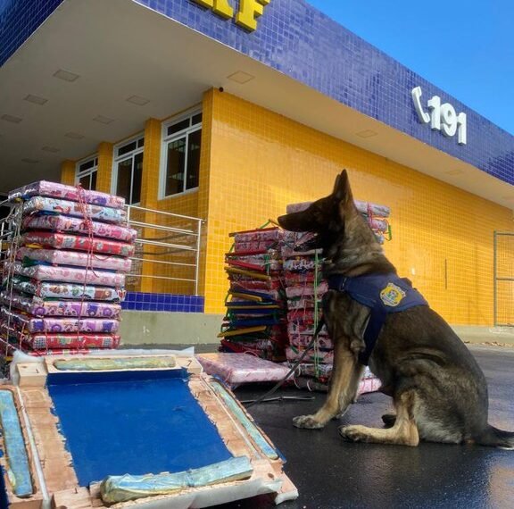 PRF apreende 53 Kg de maconha durante abordagem a ônibus em Vitória da Conquista (BA)