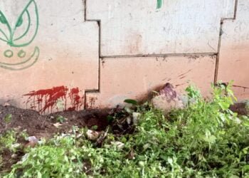 Homem é degolado e morto na ponte Ciro Pedrosa e polícia investigará o homicídio