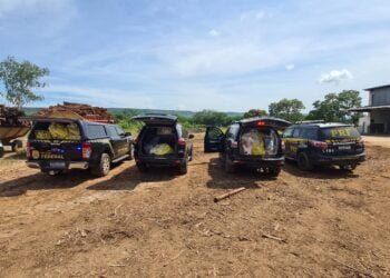 POLÍCIA FEDERAL INCINERA DROGAS APREENDIDAS EM BARREIRAS