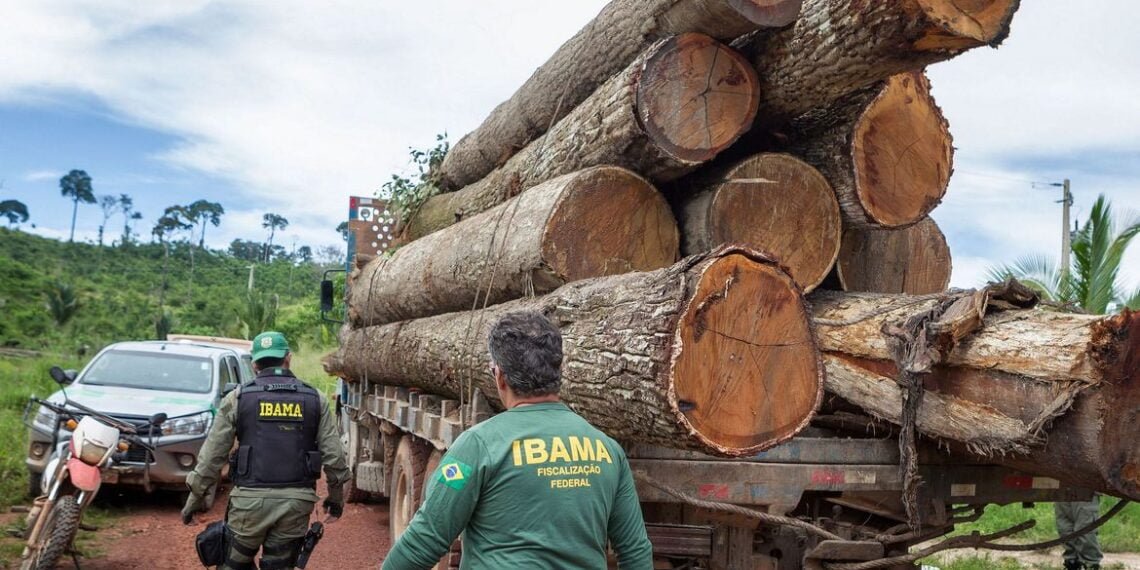 Ibama: Grupo vai fiscalizar fraudes em sistemas de controle florestal