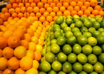 Conab diz que frutas registram queda de preços