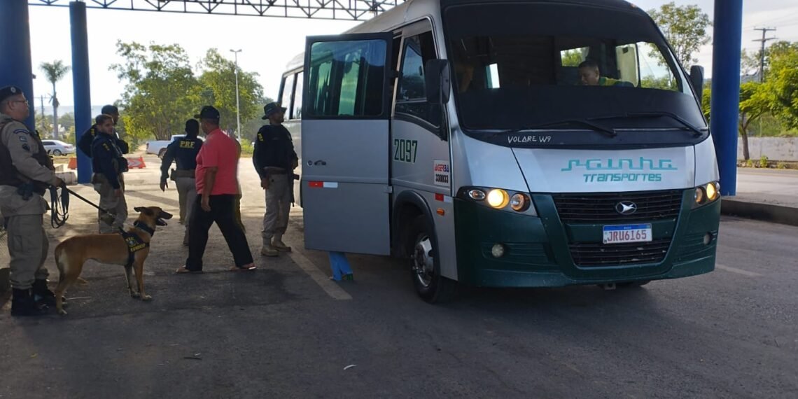 RONDESP OESTE EMPREGA CANIL EM OPERAÇÃO CONJUNTA COM A PRF