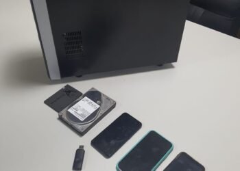 POLÍCIA FEDERAL REALIZA OPERAÇÃO “CUSTÓDIA INFANTE” EM COMBATE À PORNOGRAFIA INFANTIL