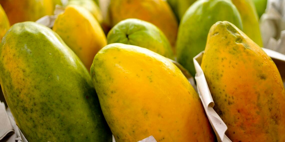 Governo prorroga prazo para cadastro na Agricultura Familiar