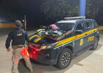 Adolescente é flagrada transportando quase 70.000 comprimidos de ecstasy na BR 116 em Feira de Santana (BA)