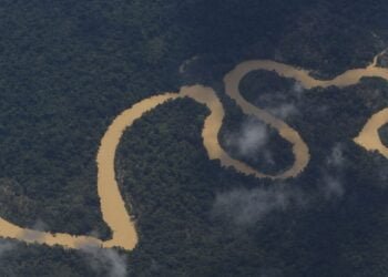 Indígenas denunciam assassinato de três yanomami em Roraima