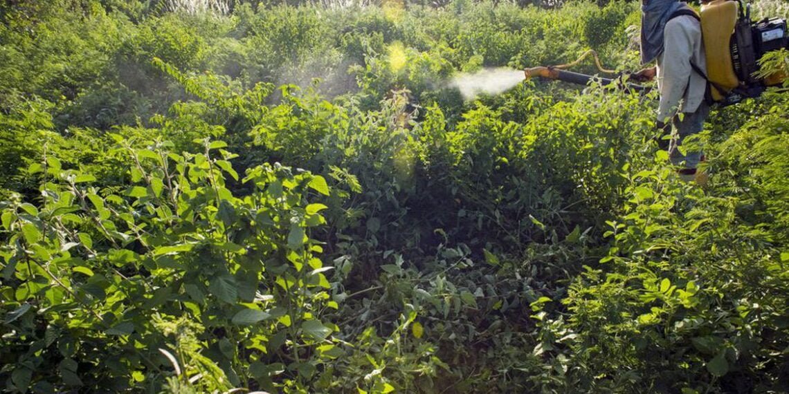 ONU: supermicróbios podem causar 10 milhões de mortes ao ano até 2050