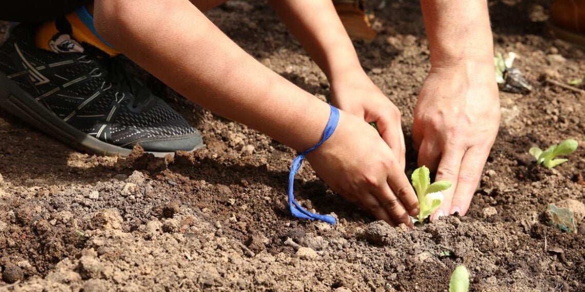 Curso orienta educadores sobre como levar a natureza para as escolas
