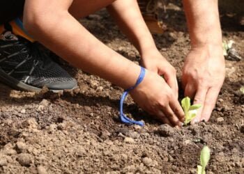 Curso orienta educadores sobre como levar a natureza para as escolas