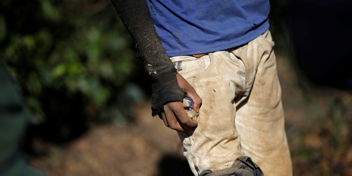 Juristas pedem expropriação de terras de quem explora trabalho escravo