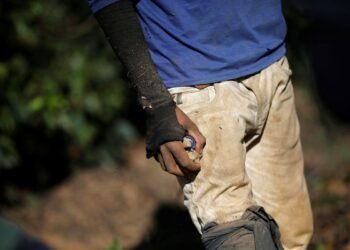 Juristas pedem expropriação de terras de quem explora trabalho escravo