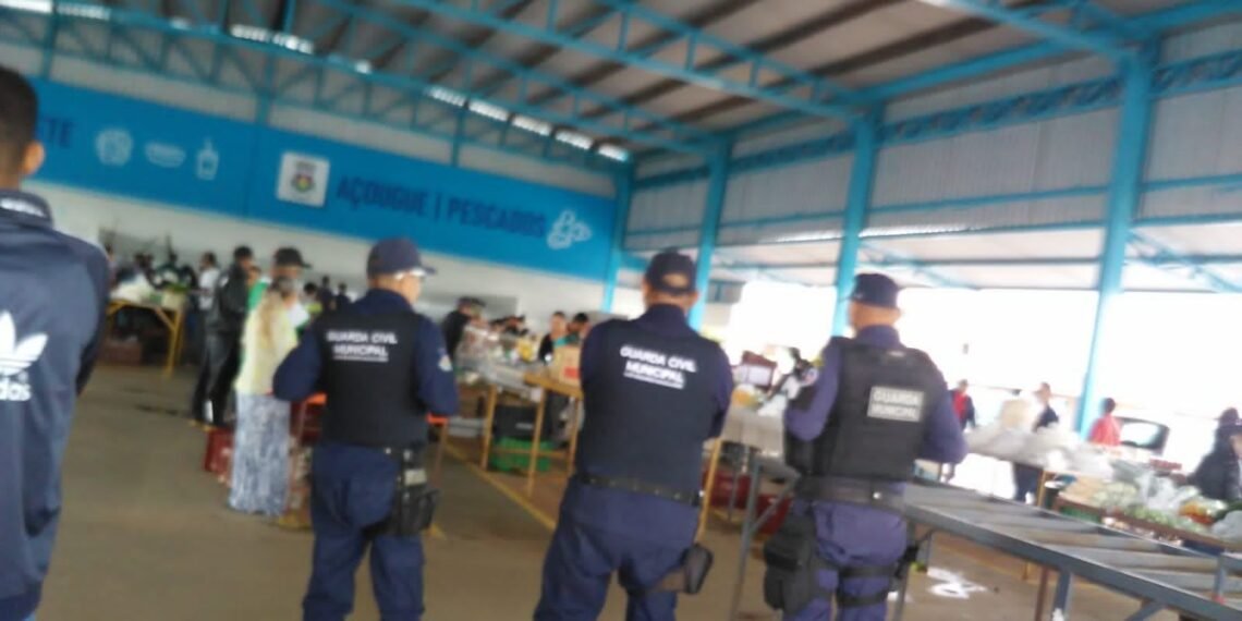 Guarda Civil Municipal divulga balanço das atividades desenvolvidas no último final de semana.