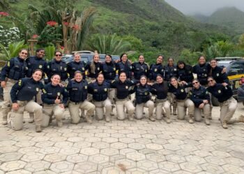 Combate à violência contra a mulher: PRF na Bahia promove a 7ª edição da Operação Rosas de Aço