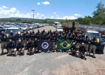 Operação Dublê: PRF na Bahia recupera 22 veículos roubados em apenas 5 dias de atividades no oeste baiano