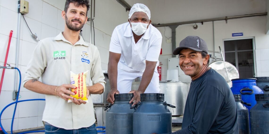 Requalificação de laticínio de cabra traz expectativa de mais renda no Semiárido Baiano