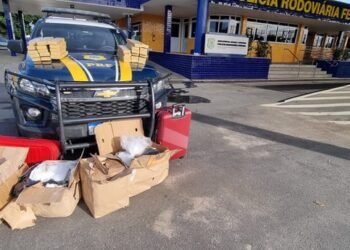 PRF apreende quase 140 kg de drogas em fiscalização a ônibus na BR 116 em Vitória da Conquista (BA) e causa um prejuízo superior a 16 milhões de reais ao crime organizado