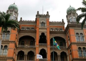 Pesquisadores estudam plantas medicinais usadas por guarani-kaiowá