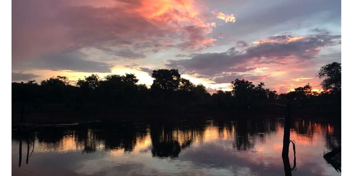 Dia Mundial da Água: Cerrado pode perder quase 34% da água até 2050