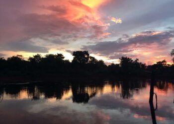 Dia Mundial da Água: Cerrado pode perder quase 34% da água até 2050