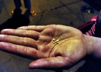 Pobres e negras estão na ponta da superexploração do tráfico de drogas