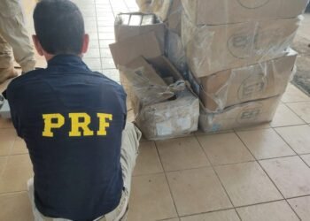 Meia tonelada de maconha e 21 Kg de cocaína são apreendidos pela PRF em Feira de Santana (BA)