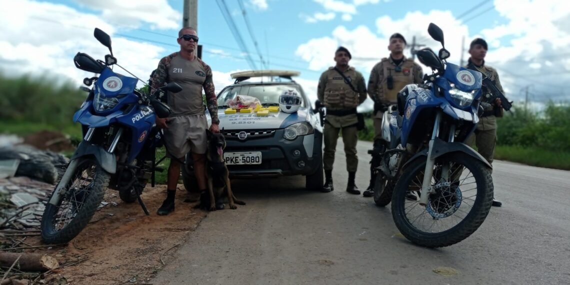 ROCAM da 83ª CIPM realiza apreensão de drogas