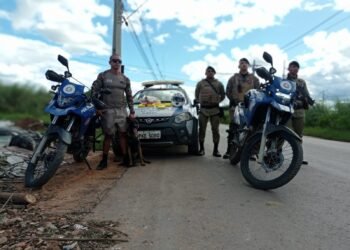 ROCAM da 83ª CIPM realiza apreensão de drogas