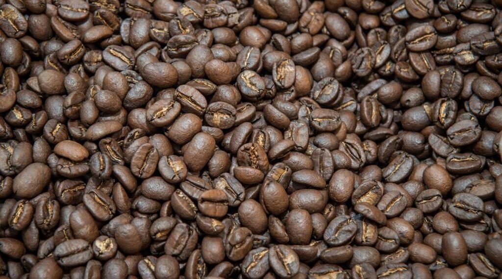 Governo da Bahia estrutura rede de produção de café de alto padrão da agricultura familiar