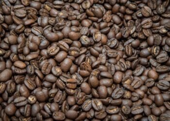 Governo da Bahia estrutura rede de produção de café de alto padrão da agricultura familiar