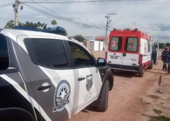 Guarda Civil Municipal divulga balanço das atividades desenvolvidas no último final de semana.