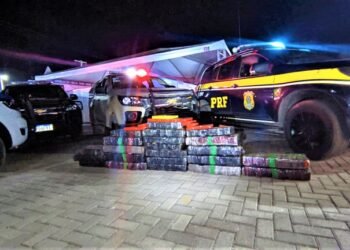 PRF e PMBA apreendem 256 Kg de maconha após interceptar comboio em Formosa do Rio Preto (BA)